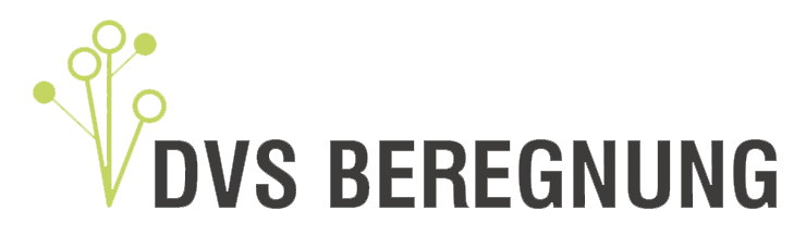 DVS Beregnung